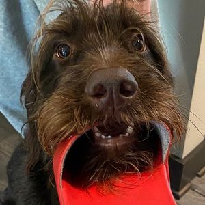 Meet your Posher, Jameson